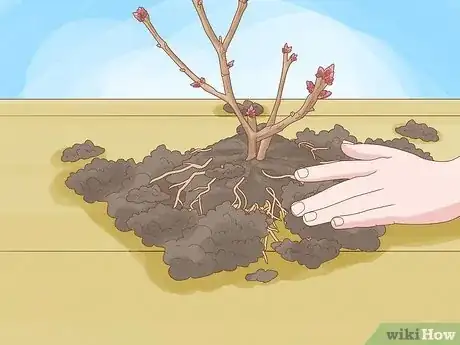 Imagen titulada Create Tree Flower Beds Step 9