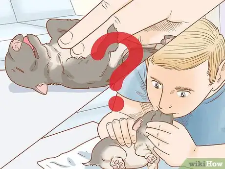 Imagen titulada Revive a Puppy Step 12