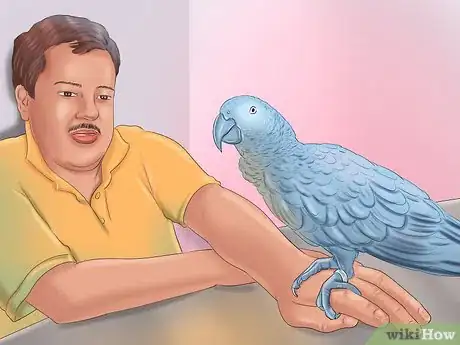 Imagen titulada Train a Bird to Step on Your Finger Step 8