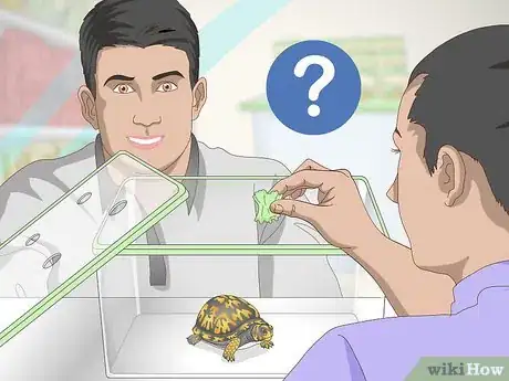 Imagen titulada Care for an Eastern Box Turtle Step 3