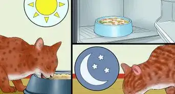 cocinar para gatos
