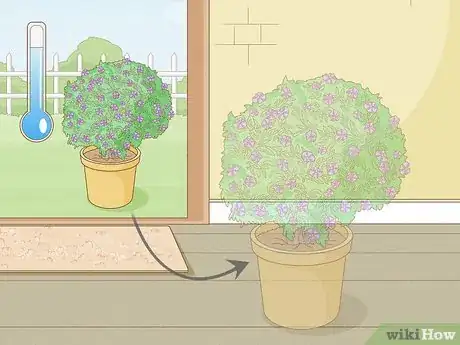 Imagen titulada Care for a Purple Flower Potato Bush Step 14