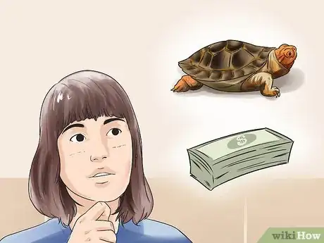 Imagen titulada Buy a Turtle Step 2