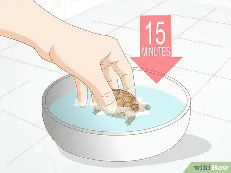 Imagen titulada Take Care of a Baby Tortoise Step 7