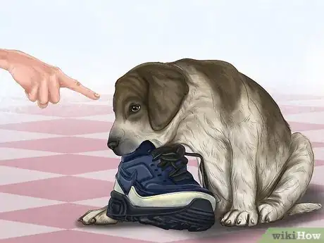 Imagen titulada Reprimand a Pet Step 6