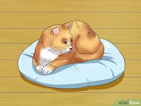 Imagen titulada Pet a High Strung Cat Step 2