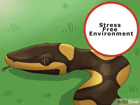 Imagen titulada Care for a Shedding Snake Step 11