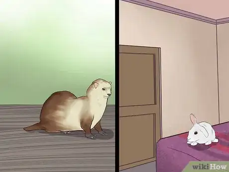 Imagen titulada Keep Ferrets in a Home with Other Pets Step 6