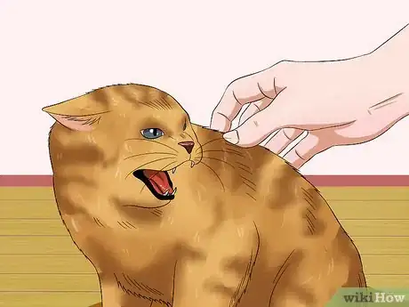 Imagen titulada Pet a High Strung Cat Step 7