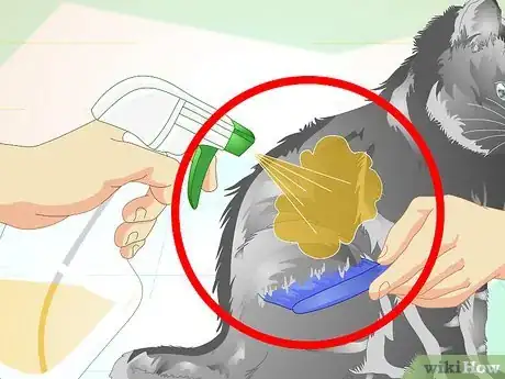 Imagen titulada Make an Herbal Flea Remedy for Cats Step 7