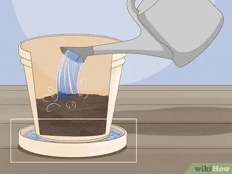 Imagen titulada Plant Potatoes in Pots Step 14