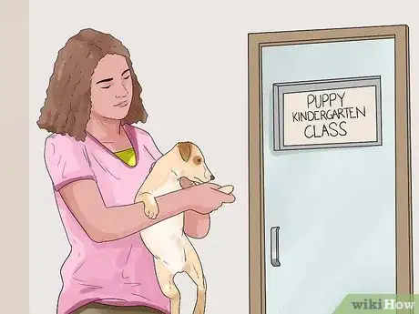 Imagen titulada Care for Your Chihuahua Step 16