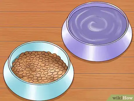 Imagen titulada Fatten Up a Dog Step 11