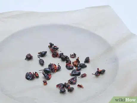Imagen titulada Make Rosehip Tea Step 8