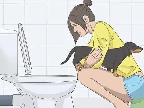 Imagen titulada Express a Paralyzed Dog's Bladder Step 5