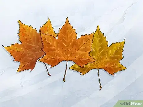 Imagen titulada Preserve Fall Leaves Step 5