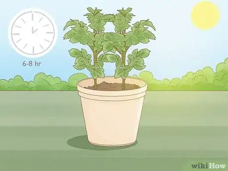 Imagen titulada Plant Potatoes in Pots Step 17