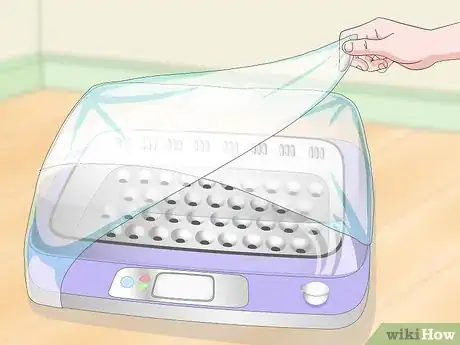 Imagen titulada Hatch Quail Chicks Step 5