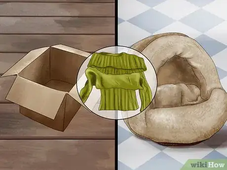 Imagen titulada Encourage a Cat to Use Its Bed Step 12