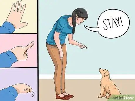 Imagen titulada Train a Golden Retriever Puppy Step 6