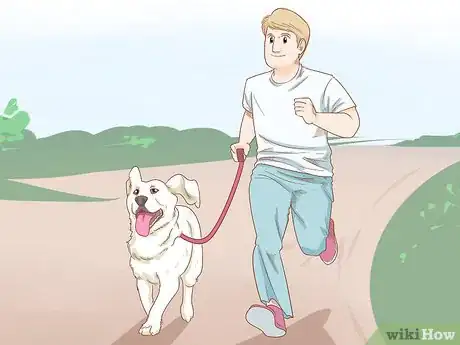 Imagen titulada Stop a Dog from Digging Step 3