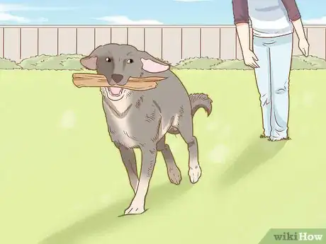 Imagen titulada Treat Your Dog Step 12