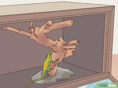 Imagen titulada Build a Reptile Cage Step 11