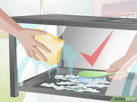 Imagen titulada Bathe a Leopard Gecko Step 14