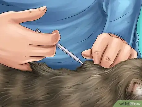 Imagen titulada Treat a Cat With a Cold Step 11