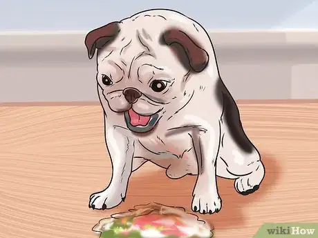 Imagen titulada Tell if Your Dog Has Parvo Step 5
