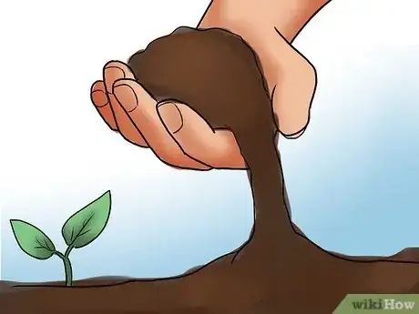Imagen titulada Care for Azaleas Step 3