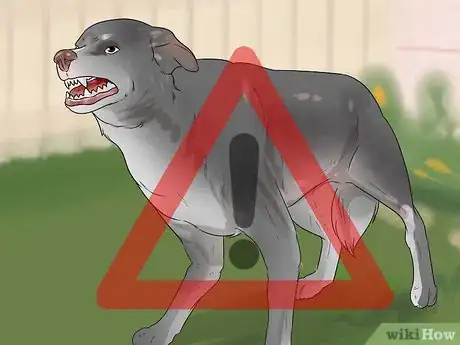 Imagen titulada Tell if a Dog Is in Pain Step 6