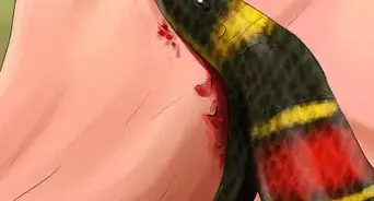diferenciar una serpiente rey de una serpiente coral
