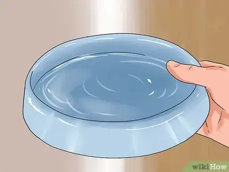 Imagen titulada Treat Dog Diarrhea Step 2