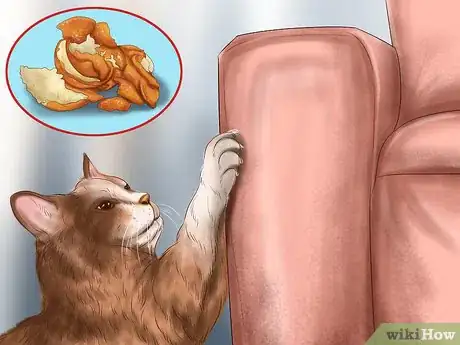 Imagen titulada Reprimand a Pet Step 12