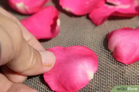 Imagen titulada Dry Rose Petals Step 6