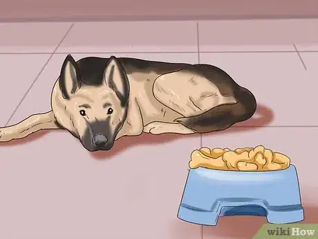Imagen titulada Tell if a Dog Is in Pain Step 7