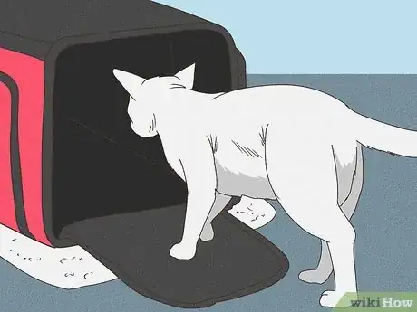 Imagen titulada Travel with a Cat Step 10