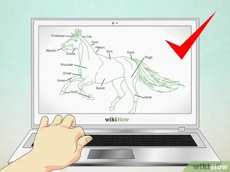 Imagen titulada Draw a Realistic Looking Horse Step 2