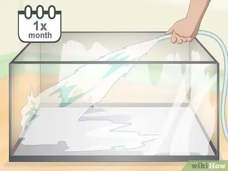 Imagen titulada Take Care of Mini Pet Turtles Step 12