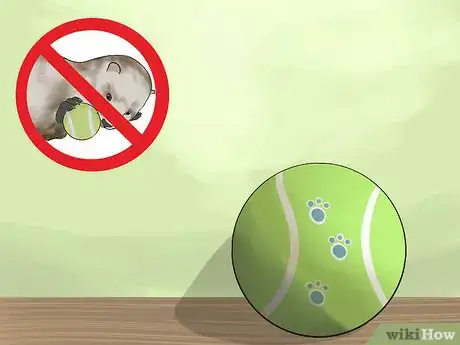Imagen titulada Keep Ferrets in a Home with Other Pets Step 8