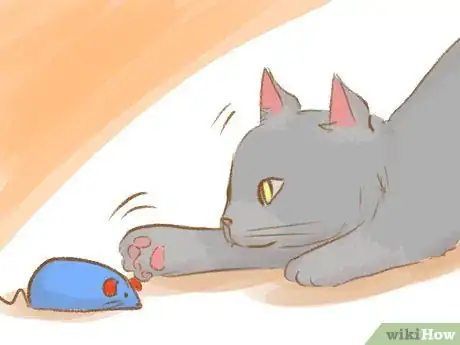 Imagen titulada Stop a Kitten from Biting Step 3
