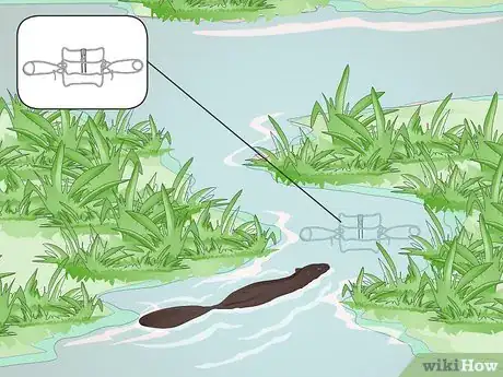 Imagen titulada Set a Conibear Trap Step 4