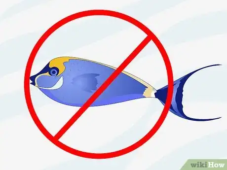 Imagen titulada Make a 5 Gallon Aquarium Interesting Step 11