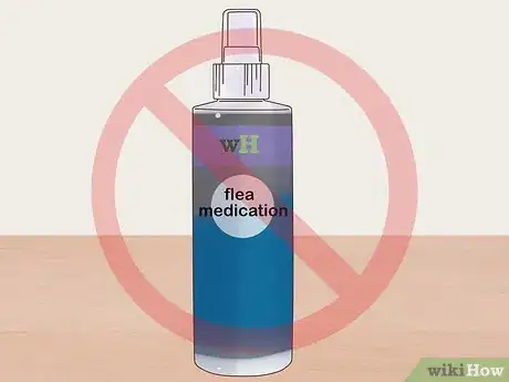 Imagen titulada Treat Mites and Lice in Guinea Pigs Step 1