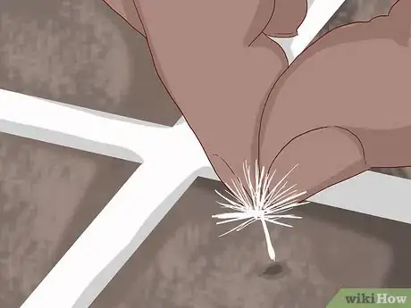 Imagen titulada Care for Daisies Step 3