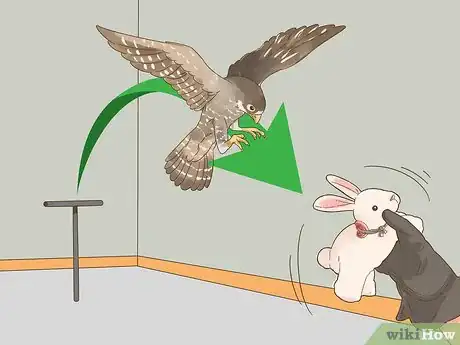 Imagen titulada Train Your First Falcon Step 7