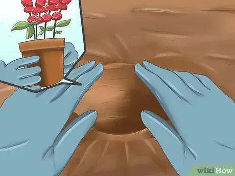 Imagen titulada Attract Hummingbirds Step 1