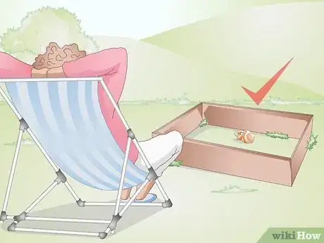 Imagen titulada Exercise Your Guinea Pig Step 15