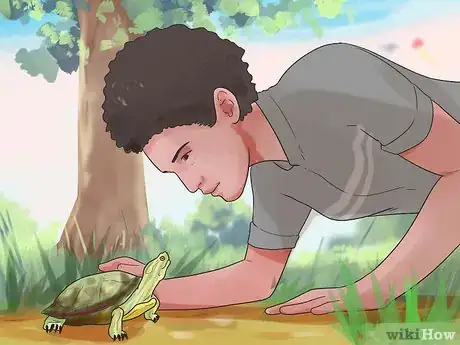 Imagen titulada Keep Your Turtle Happy Step 8